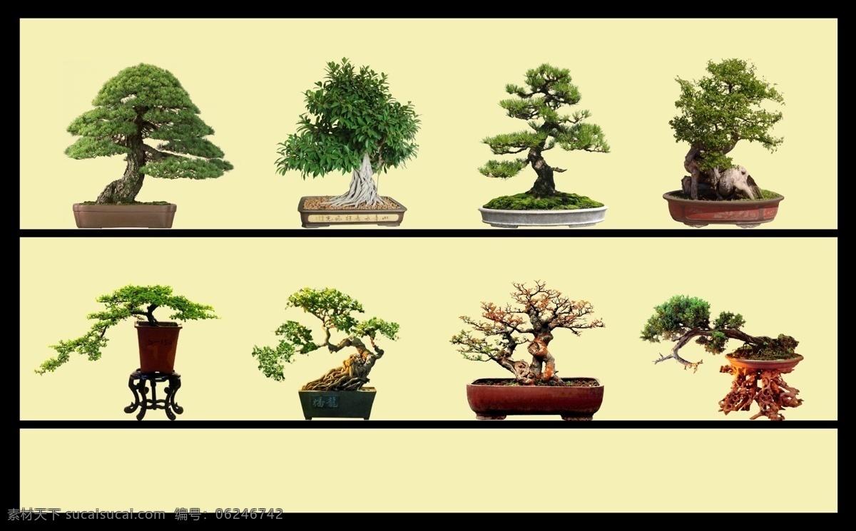 海芋盆景 植物盆景 花盆景素材 植物盆景素材 盆景素材 盆景花卉 各种盆景素材 盆景 花卉盆景 ps盆景 花卉素材盆景 花卉盆景名片 花卉盆景专卖 盆景树桩盆景 山石盆景 盆景树 树桩盆景柏 花卉盆景素材 盆景造型 花果盆景 园林盆景盆景 盆景园林素材 盆栽
