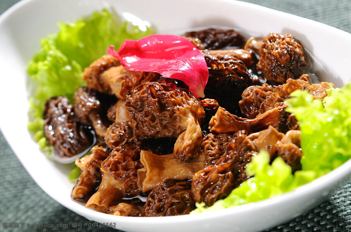 羊肚菌 自然 背景 霉菌 植物 真菌 森林 有机 食品 火锅菜 餐饮美食 传统美食