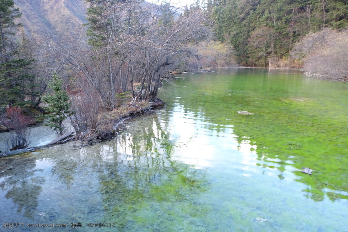 九寨沟 九寨沟风景 九寨沟景观 风景 高清 自然风景 高清风景 风光 自然风光 景观 自然景观 高清山水 山水风景 树木 四川 旅游摄影 国内旅游