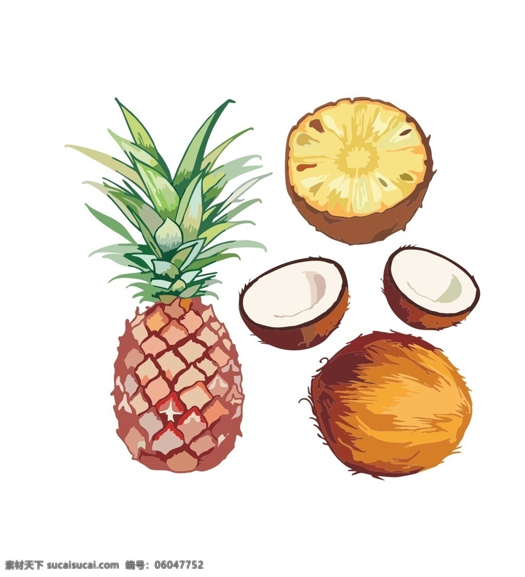 矢量 手绘 水果 插画 实物