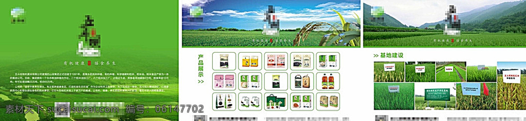 大米展会背景 水稻背景 庄稼 稻穗 自然 生态 有机健康 膳食养生 产品展示 基地建设 稻田地 海报 绿色
