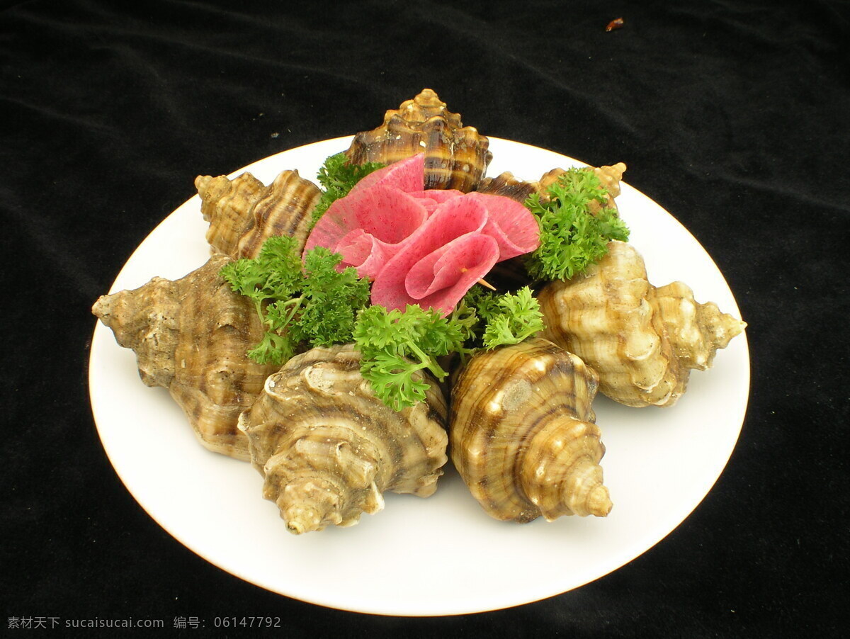 海螺 海螺摄影 海鲜美食 食材 中华美食 餐饮美食