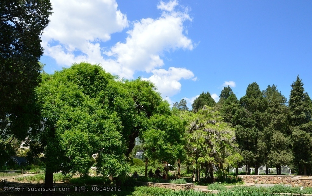 南植物园风景 蓝天白云 南植物园美景 园林美景 小路 园林风景 园林 植物 花草 园林景观 草地 园林绿化 公园美景 建筑园林 园林建筑