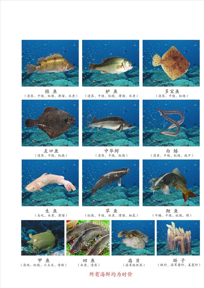 海鲜 海 海鲜类 菜谱 菜单 底图 背景 草鱼 中华鳝 桂鱼 鲈鱼 多宝鱼 白鳝 生鱼 鲤鱼回鱼 甲鱼 扇贝 圣子 菜单菜谱 矢量
