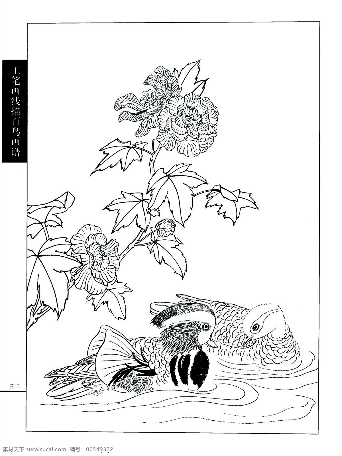 白描 芙蓉 鸳鸯 文化艺术 绘画书法 设计图库