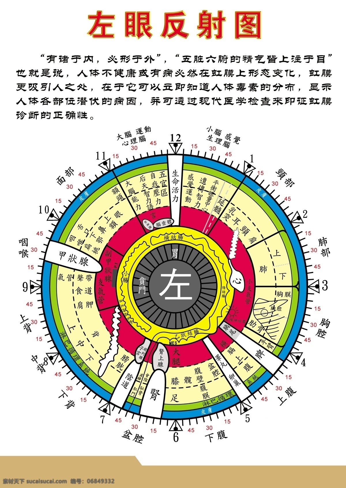 中医 人体 左眼 诊断 反射 图 反射图 分层 源文件库