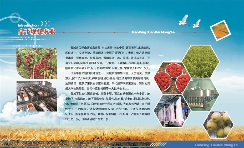 绿色农业 持续 小麦 展板 绿色 农业 分层 丰收