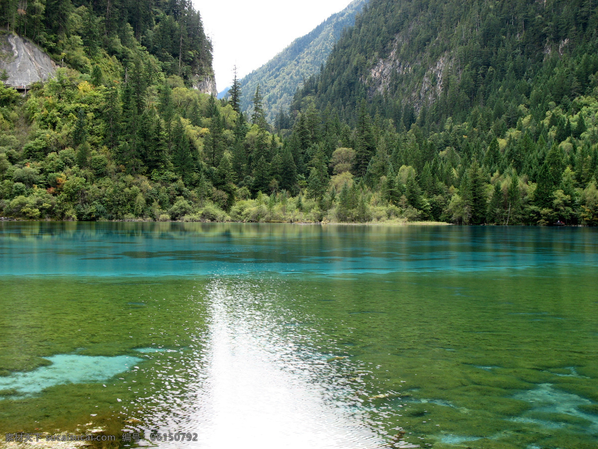 树免费下载 风景 绿色 山水风景 摄影图 树 植物 自然景观 水 家居装饰素材 山水风景画