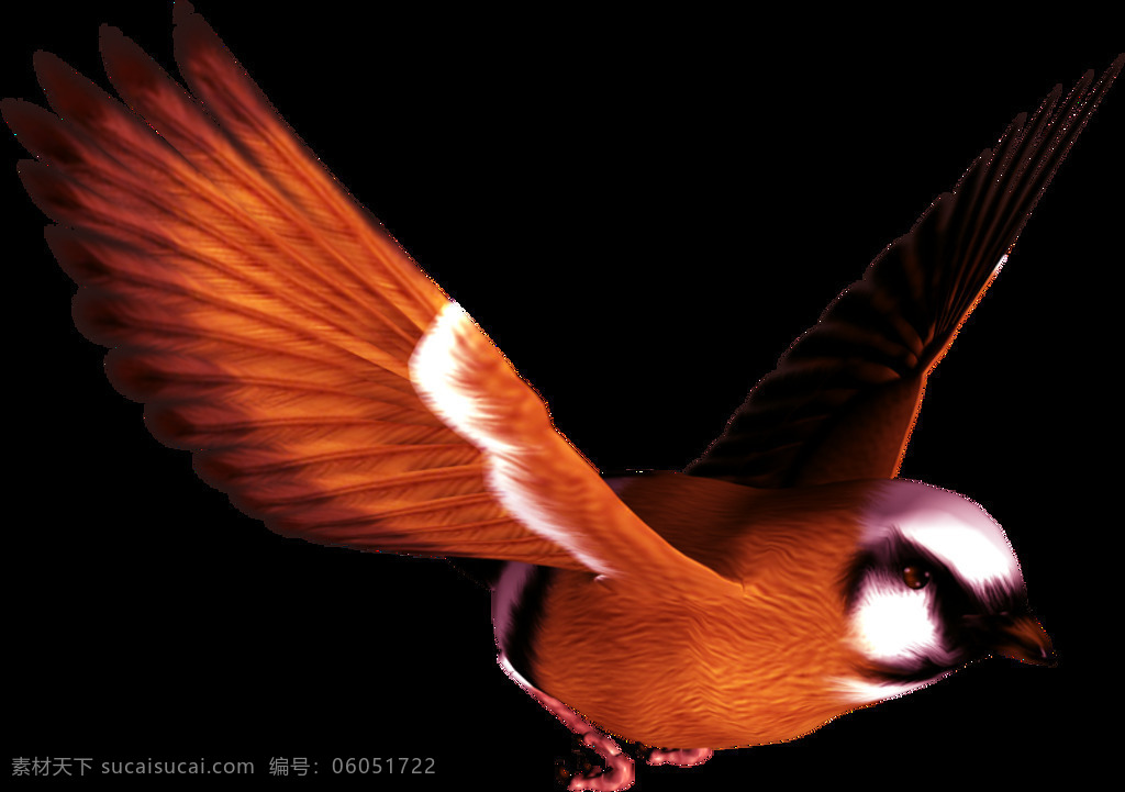 精神 浅褐色 小鸟 装饰 元素 翅膀 动物 飞翔 展翅 装饰元素