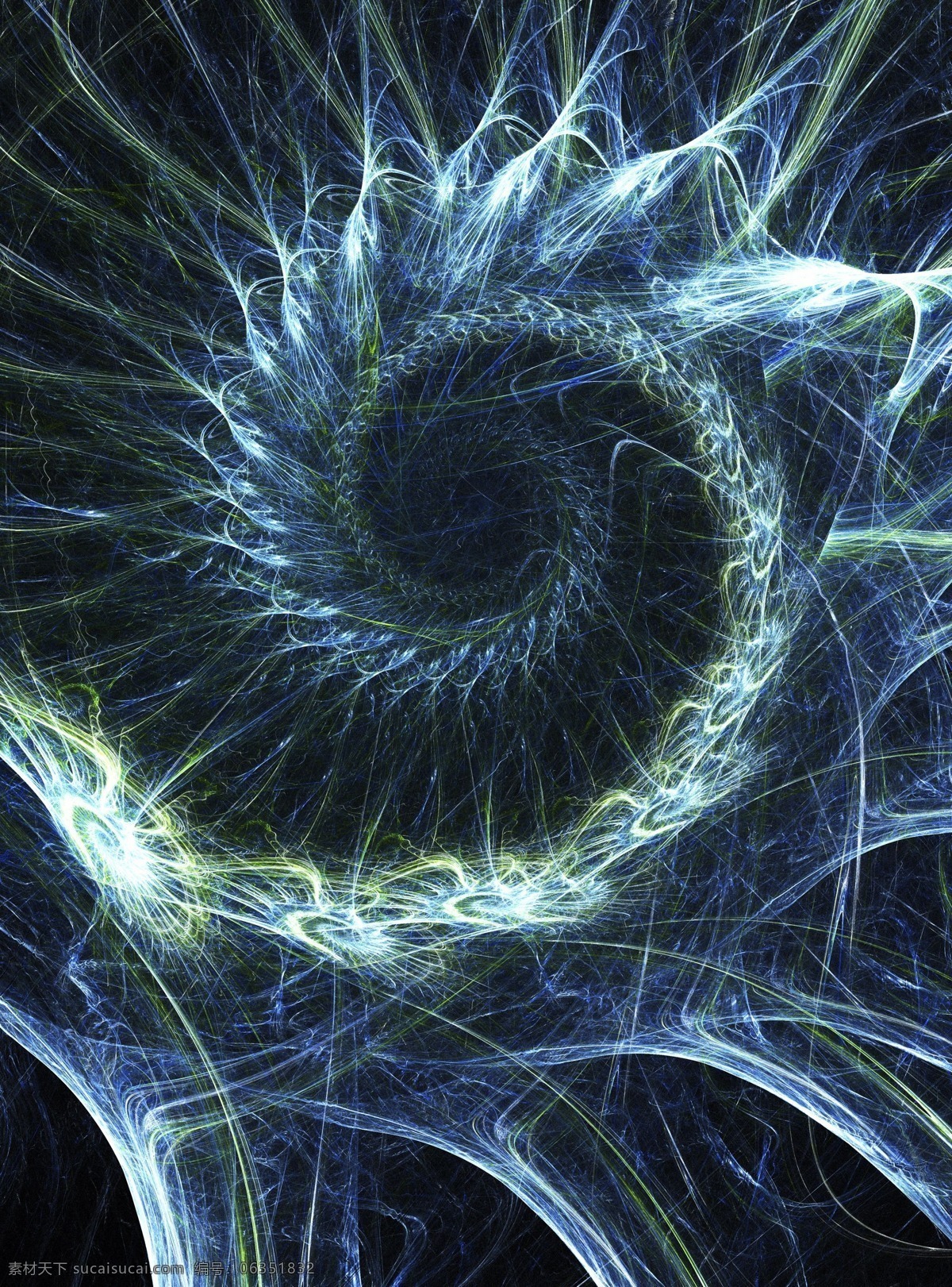 网状 丝线 螺旋 生物世界