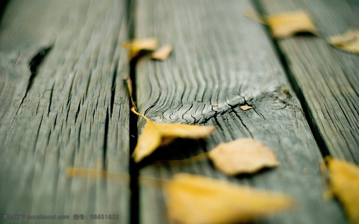 木桥 落叶 非 主流 非主流 枯叶 木板 木地板 木纹 秋叶 伤感 树叶 叶子 萧条 唯美 非主流意境 背景图片