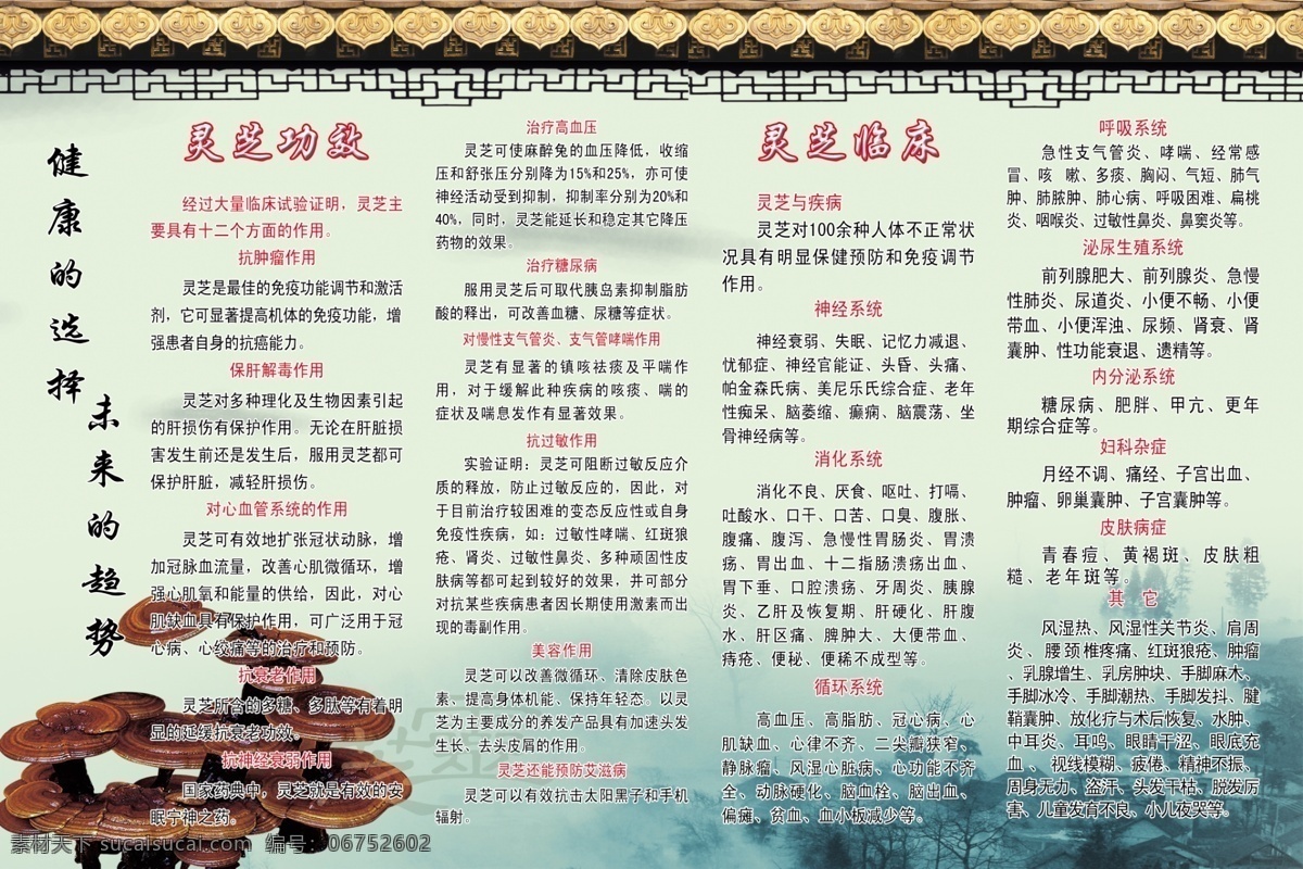 灵芝 灵芝介绍 海报 药品 医疗保健