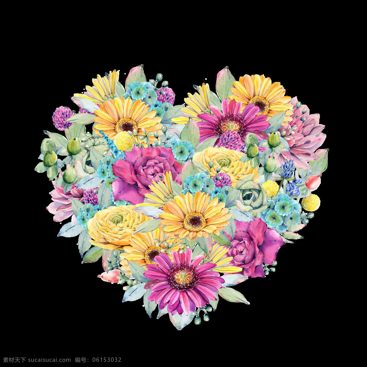 手绘 摆 成 心形 菊花 透明 黄色 绿色 免扣素材 水彩 透明素材 鲜花 洋甘菊 叶子 装饰图案 紫色