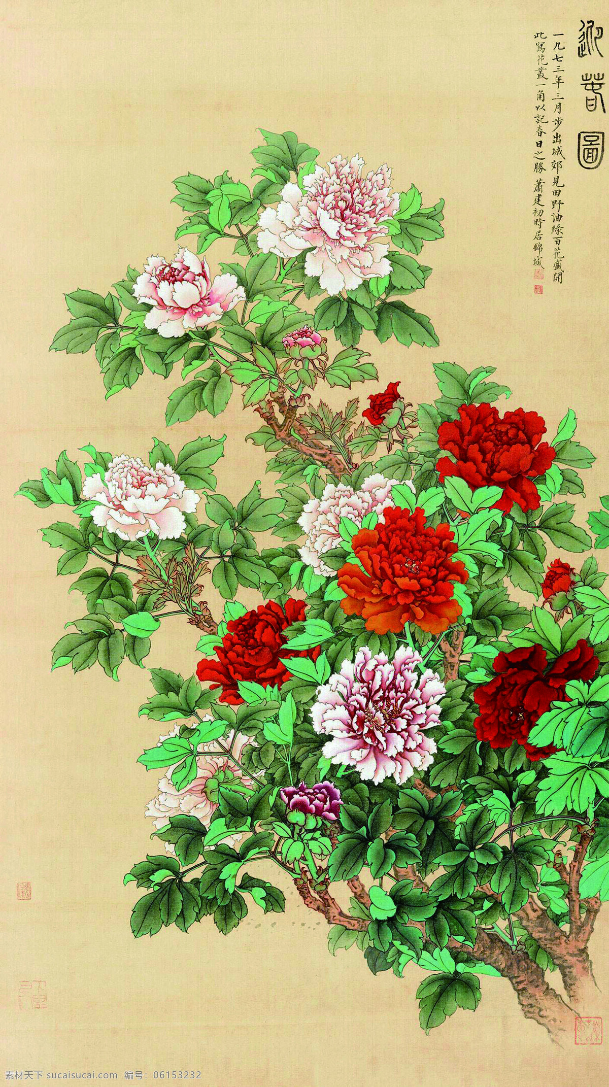 迎春图 中国画 花鸟画 工笔牡丹 牡丹花 牡丹画 国画花鸟 花鸟画专辑一 文化艺术 绘画书法
