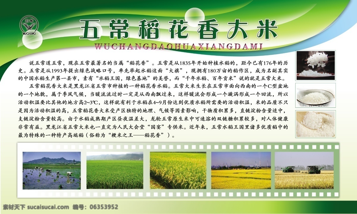五常 稻花香 大米 稻花香大米 五常大米 米饭 水稻 收割机 稻米 稻田 展板 招贴设计