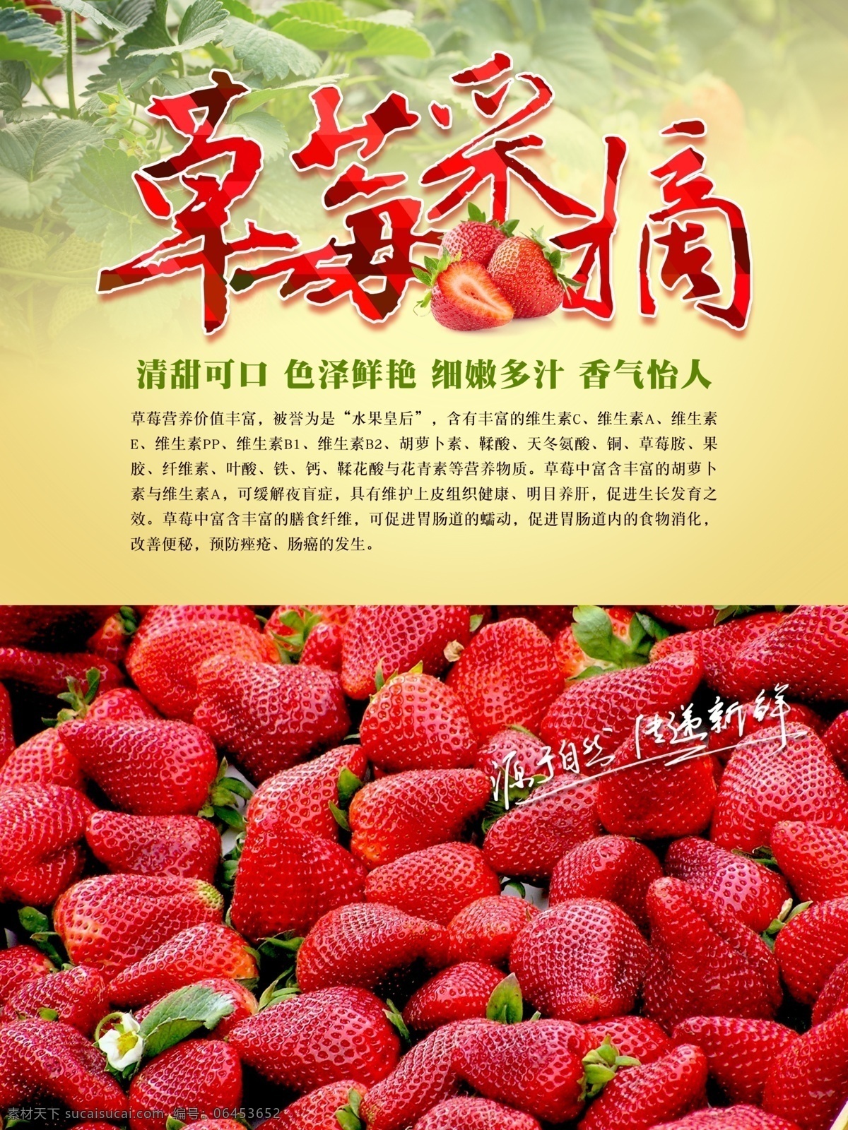 清新 草莓 采摘 海报 展架 草莓灯箱 草莓广告 草莓海报 草莓基地 草莓批发 草莓水果 草莓文化 草莓宣传 草莓展板 草莓种植 草莓专卖 批发草莓 水果草莓