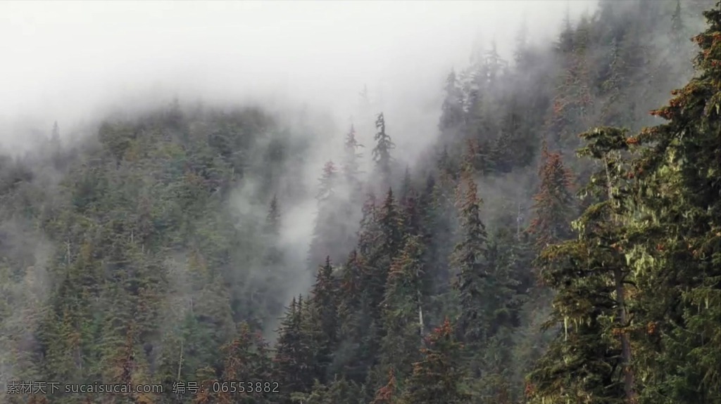 大自然 大雾 视频 自然风景视频 风景 风景视频 森林视频