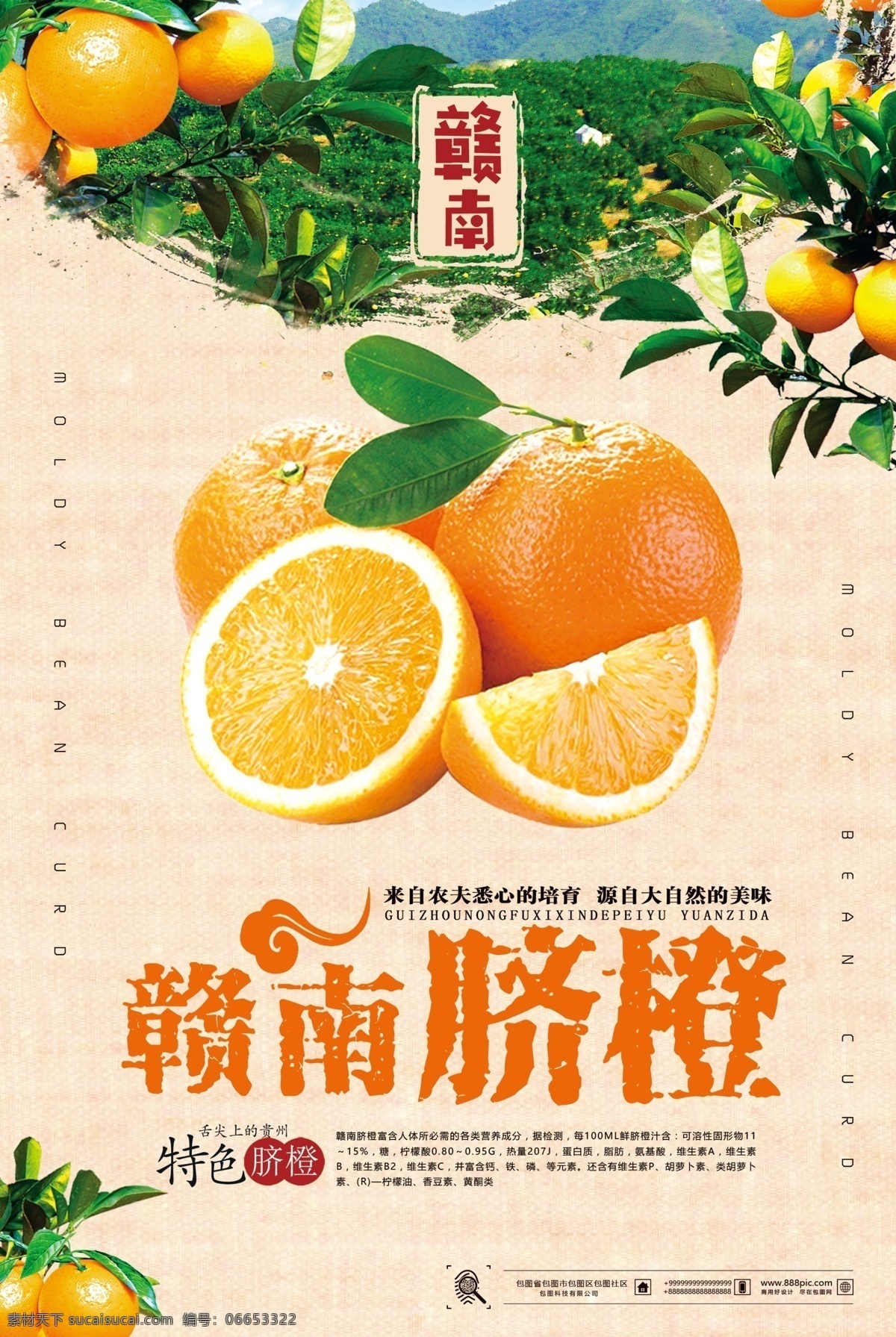 水果 橘子 水果海报 新鲜水果 夏日 夏季 冷饮 果汁 传单 彩色 热带水果 海报 展架 文化艺术 绘画书法