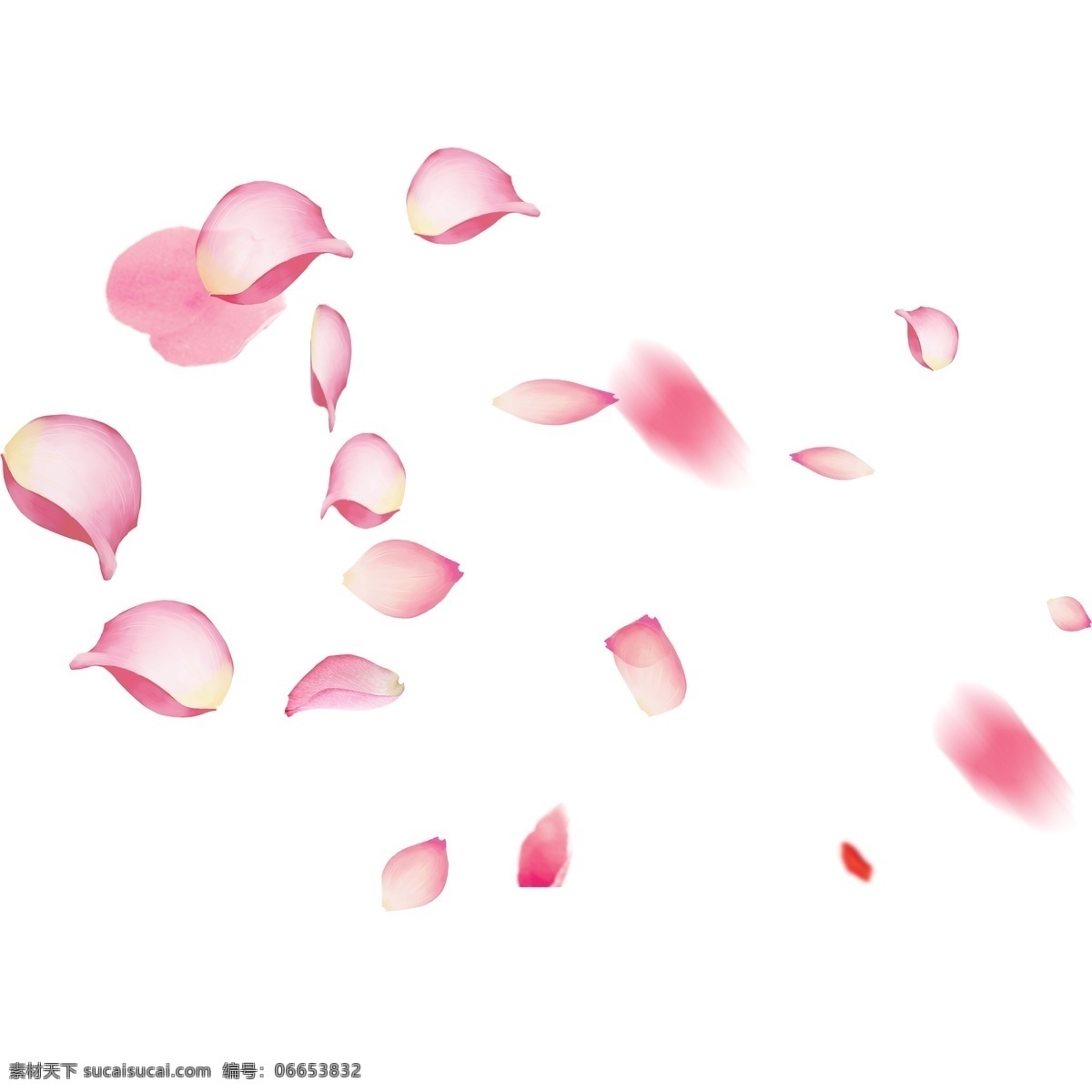 粉红色 花瓣 装饰 元素 粉红色花瓣 飘散 玫瑰 玫瑰花 爱情 情人 玫瑰花瓣 花朵 浪漫 红色玫瑰花瓣