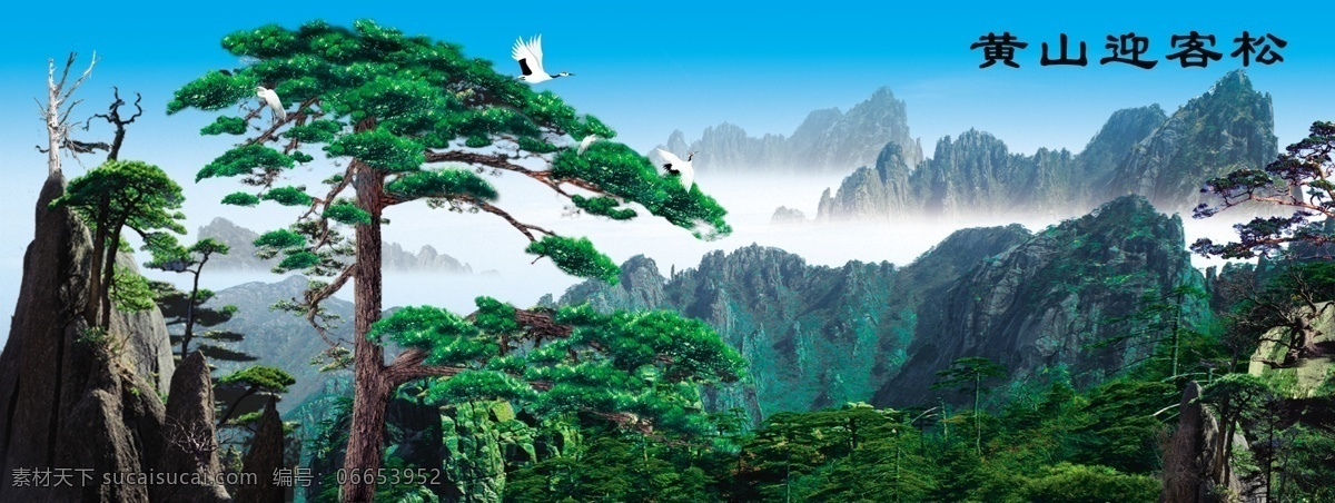 黄山迎客松 黄山 自然风景 迎客松 高山 白云 大树 仙鹤 psd分层 分层 背景素材