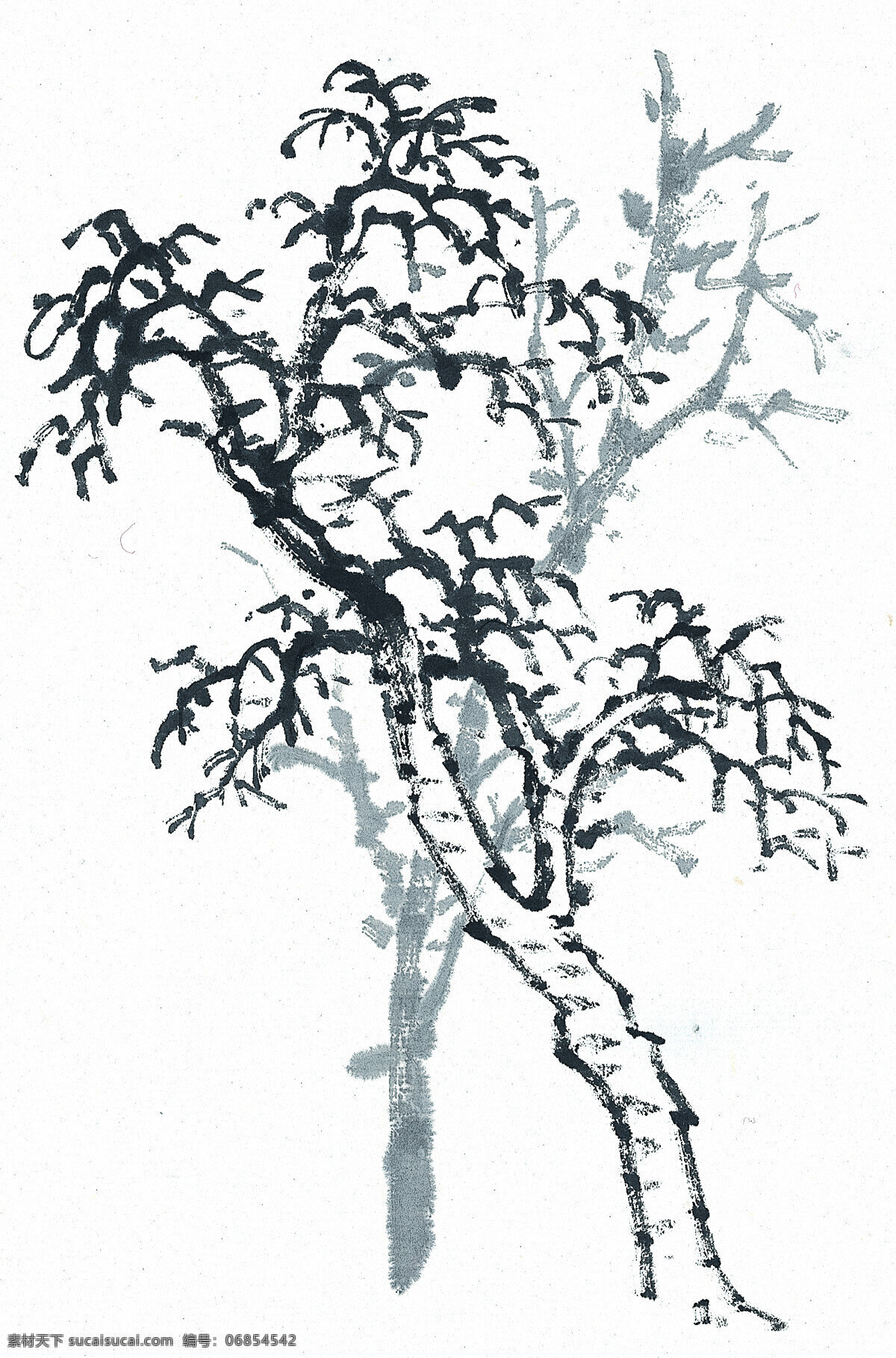 有影子的树 歪脖子树 倒影 重叠 绘画 美术 白色