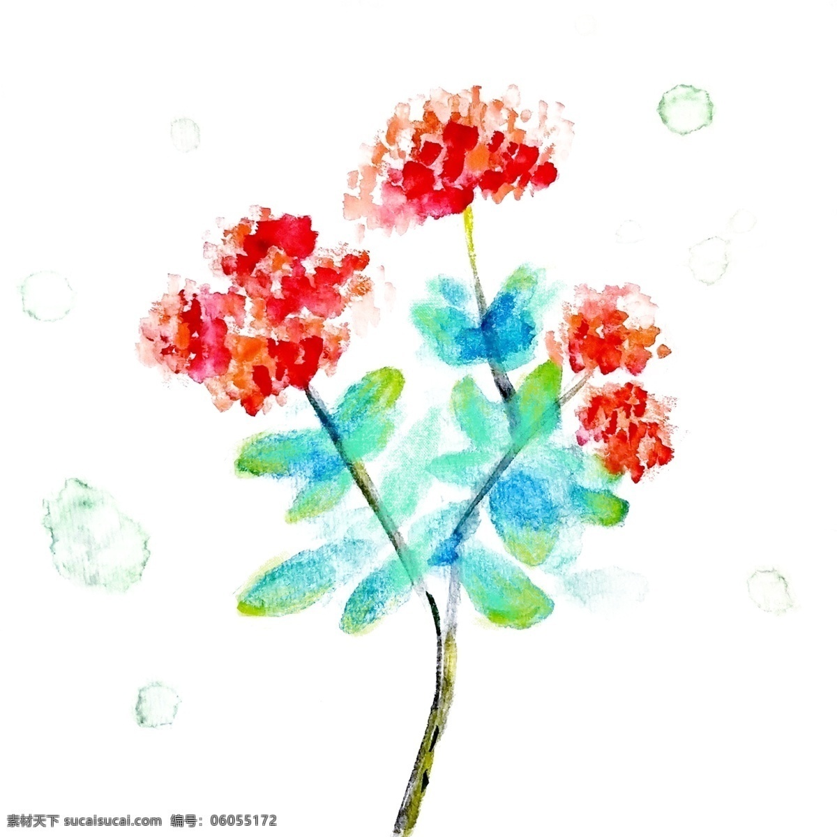 一枝水彩红花 水彩植物 花朵 红色花 一枝花 唯美 水彩画 长寿花