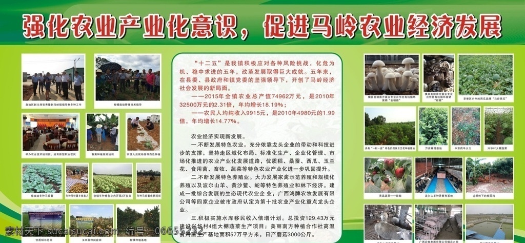 促进农业发展 促进农业 经济发展 绿色底 板报 蘑菇菌类