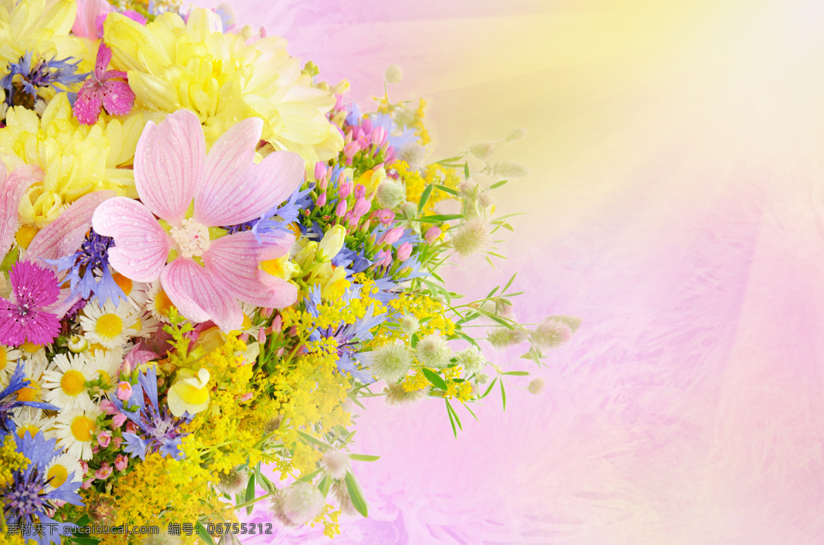 花卉背景 花朵 鲜花 花 叶子 绿叶 花卉 鲜花摄影 花草树木 生物世界 黄色