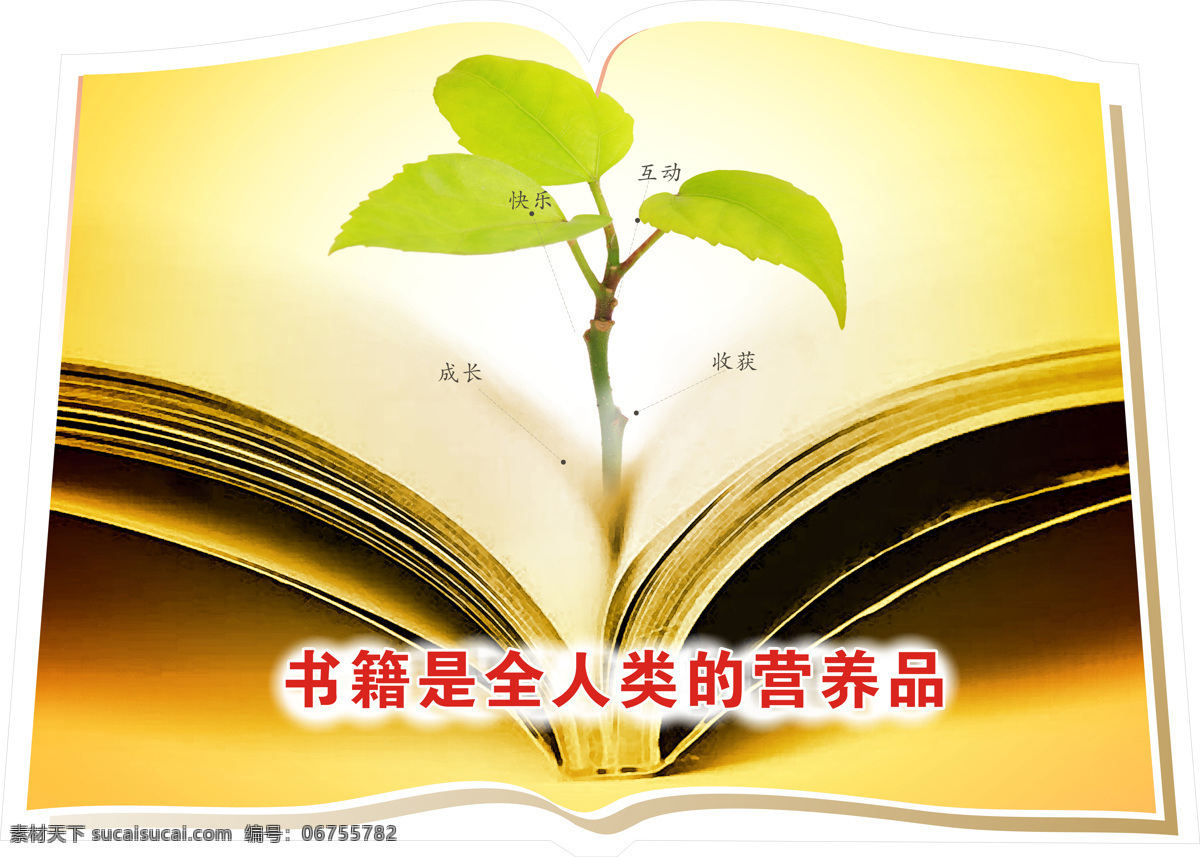 树苗的成长 成长 快乐 互动 收获 树苗 书籍 光 海报