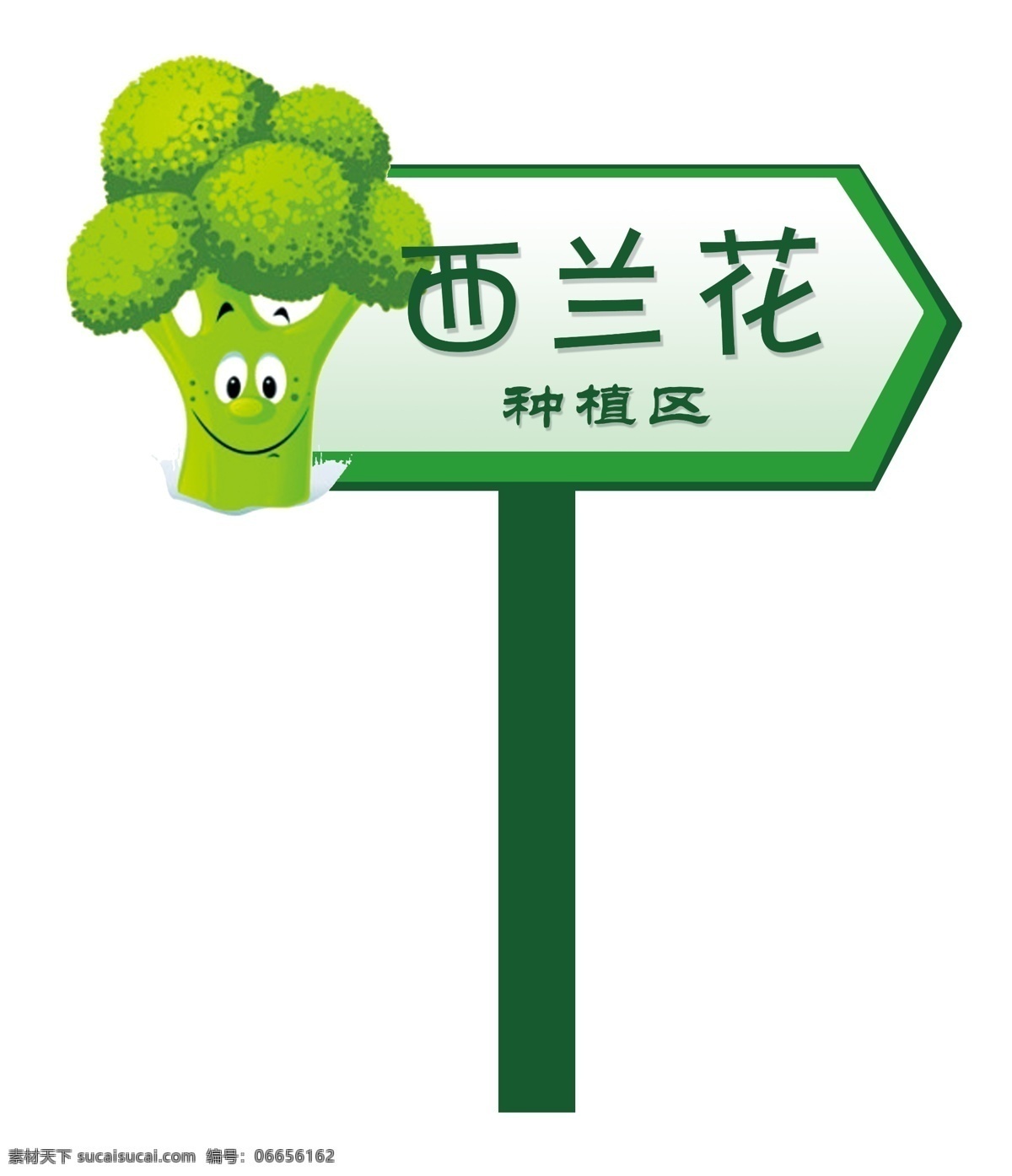 西兰花 指示牌 绿色 方向牌 蔬菜 蔬菜牌 种植区 白色