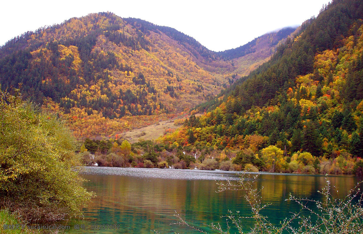 九寨沟风光 九寨沟 湖水 秋天 金秋 青山绿水 大树 树林 山林 森林 森林公园 四川 生态公园 蓝天白云 生态 自然 山水风景 自然景观