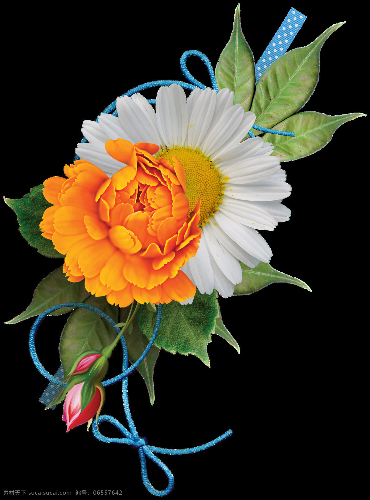 艳丽 明亮 橙色 花朵 花束 实物 元素 橙色花朵 蓝色绳子 绿叶 美丽花朵 植物