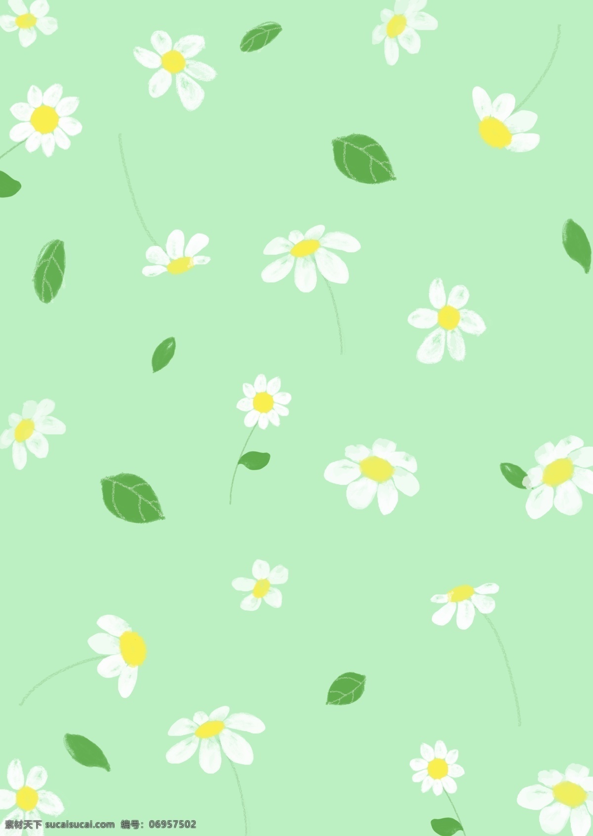 手绘雏菊插画 手绘 雏菊 插画 壁纸 绿色 花卉
