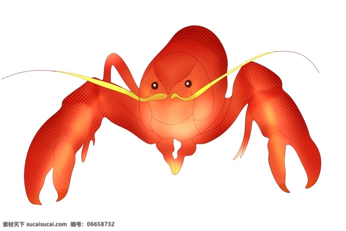 红色 龙虾 动物 插画 红色的龙虾 卡通插画 动物插画 龙虾插画 龙虾动物 美食龙虾 美味的龙虾