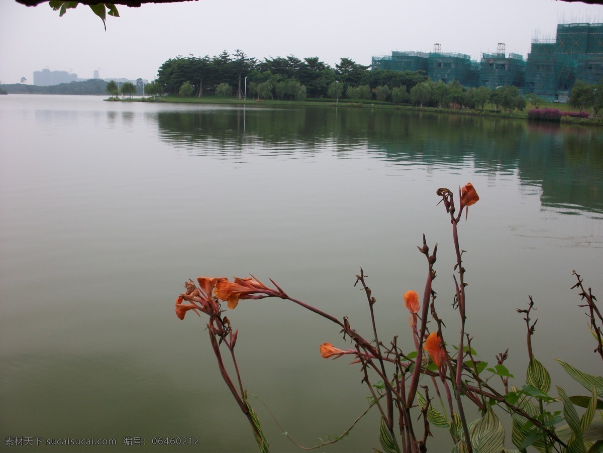 美丽 湖面 风景 岸边树 倒影 公园风景 湖水 花 自然风景 树倒影 岸边花 松山湖 东莞松山湖 生活 旅游餐饮