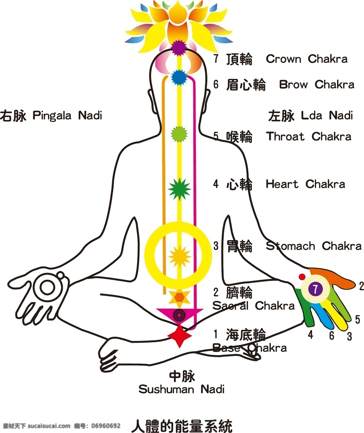 人体能量体系 人体能量 人体 能量 生活百科 医疗保健 矢量图库