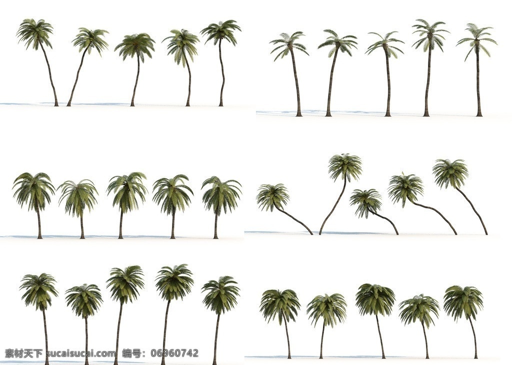 棕榈树 植物模型 热带树 景观植物 园林 模型 植物模型合辑 展示模型 3d设计模型 源文件 max