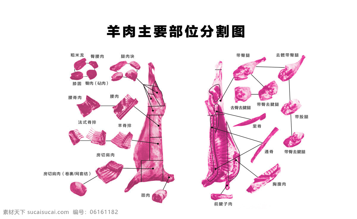 羊肉部位图 羊肉分割 部位图 上脑 里脊 黄瓜条 后腿 后腱子 羊蹄 羊腩 腹肋 羊排 前腱子 前腿 颈肉