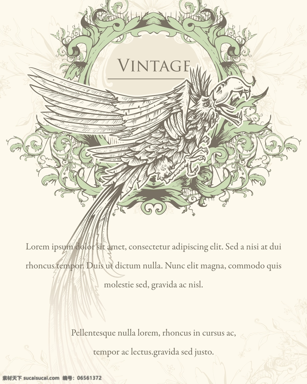旧货 ilustration 乌鸦 矢量图 花纹花边