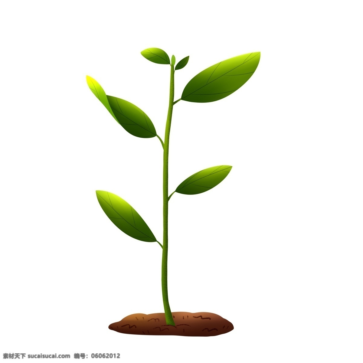 绿色 清新 小苗 插画 树苗 生命 卡通 手绘 树木 植物 春季 植树节