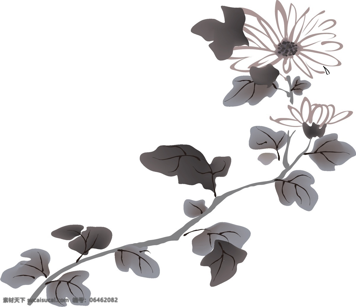 矢量图 ai矢量图 边框 多款植物花 黑白矢量 蝴蝶 花朵 花纹 鸟类 树叶 水墨 花纹花边
