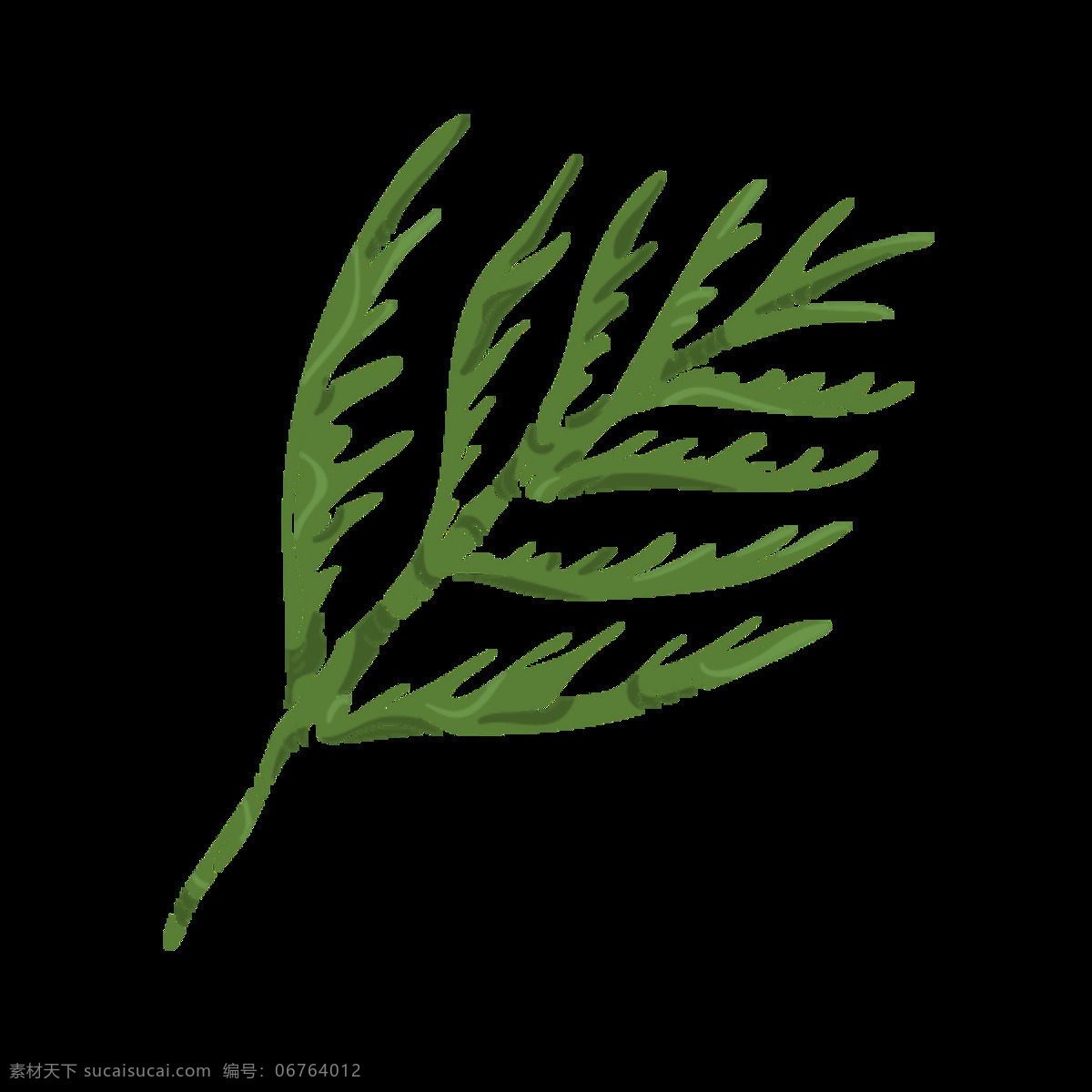 碧绿 珊瑚 草 透明 花枝 绿色 免扣素材 透明素材 叶子 枝叶 植物 装饰图案