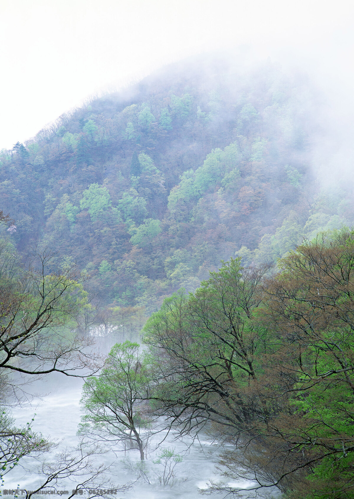 财源滚滚 风景 风景画 高山流水 河流 流水生财 绿树 山峰 山林 急流 山水风景画 山水 细水长流 溪流 溪水 摄影图 山水风景 自然景观 家居装饰素材