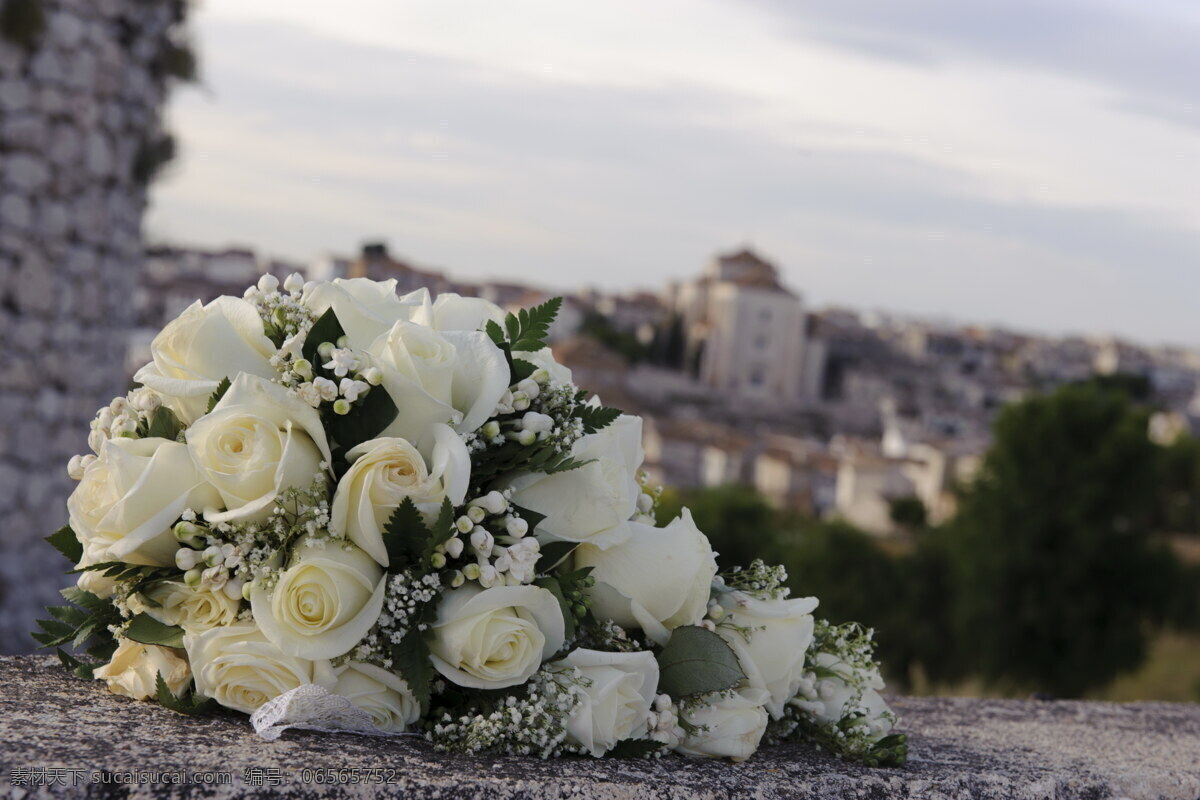 新娘 白色 玫瑰 手 捧 花 白色玫瑰 手捧花 白玫瑰 花朵