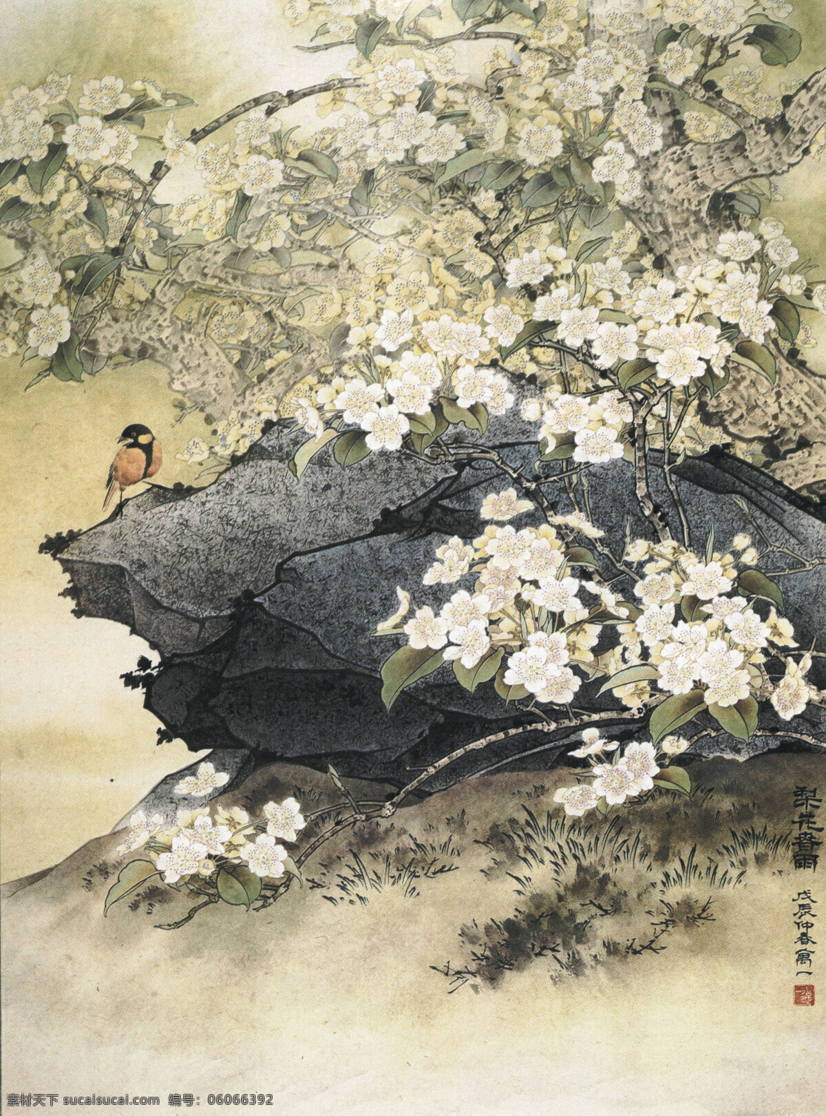 梨花春雨素材图片下载-素材编号06066392-素材天下图库