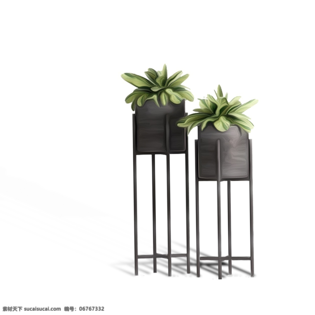 盆栽植物 室内绿植 盆栽 卡通插图 创意卡通下载 插图 png图下载 卡通装饰