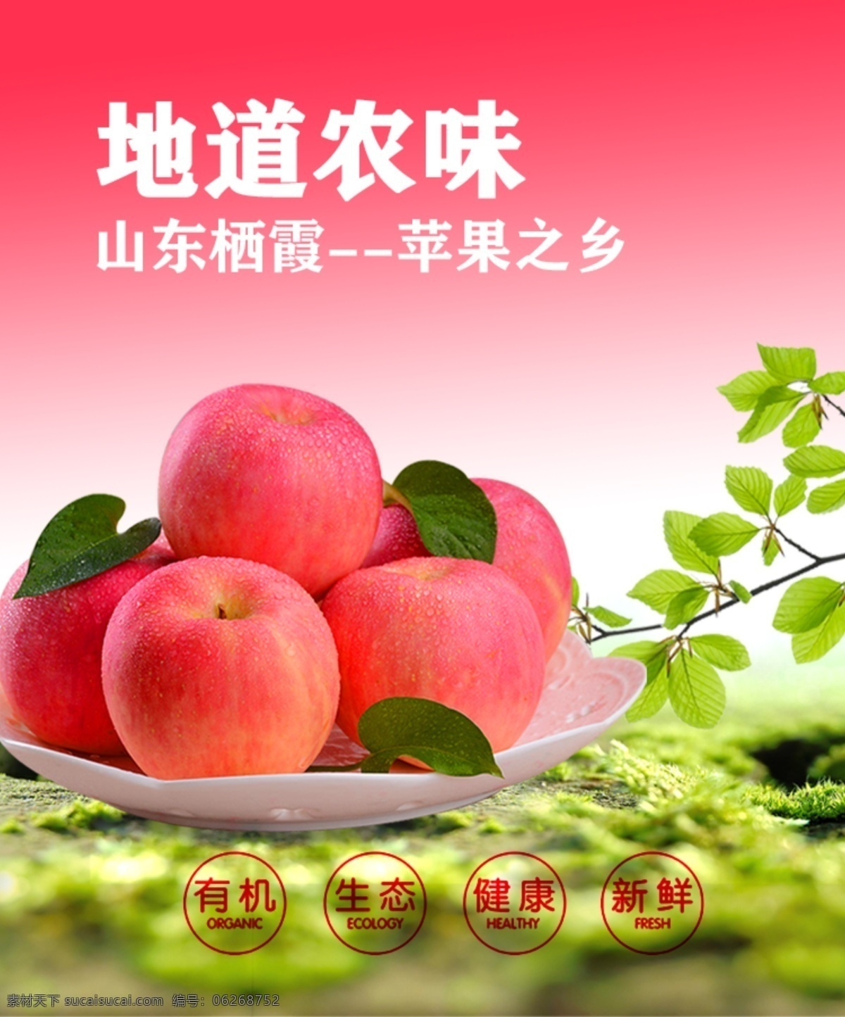 栖霞苹果 红苹果 水果psd 有机生态 红色与绿色 树叶 水果淘宝 粉色