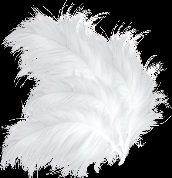 鸟毛 装饰元素 羽毛元素 小清新羽毛 装饰图案 装饰羽毛素材 小清新风格 羽毛 分层