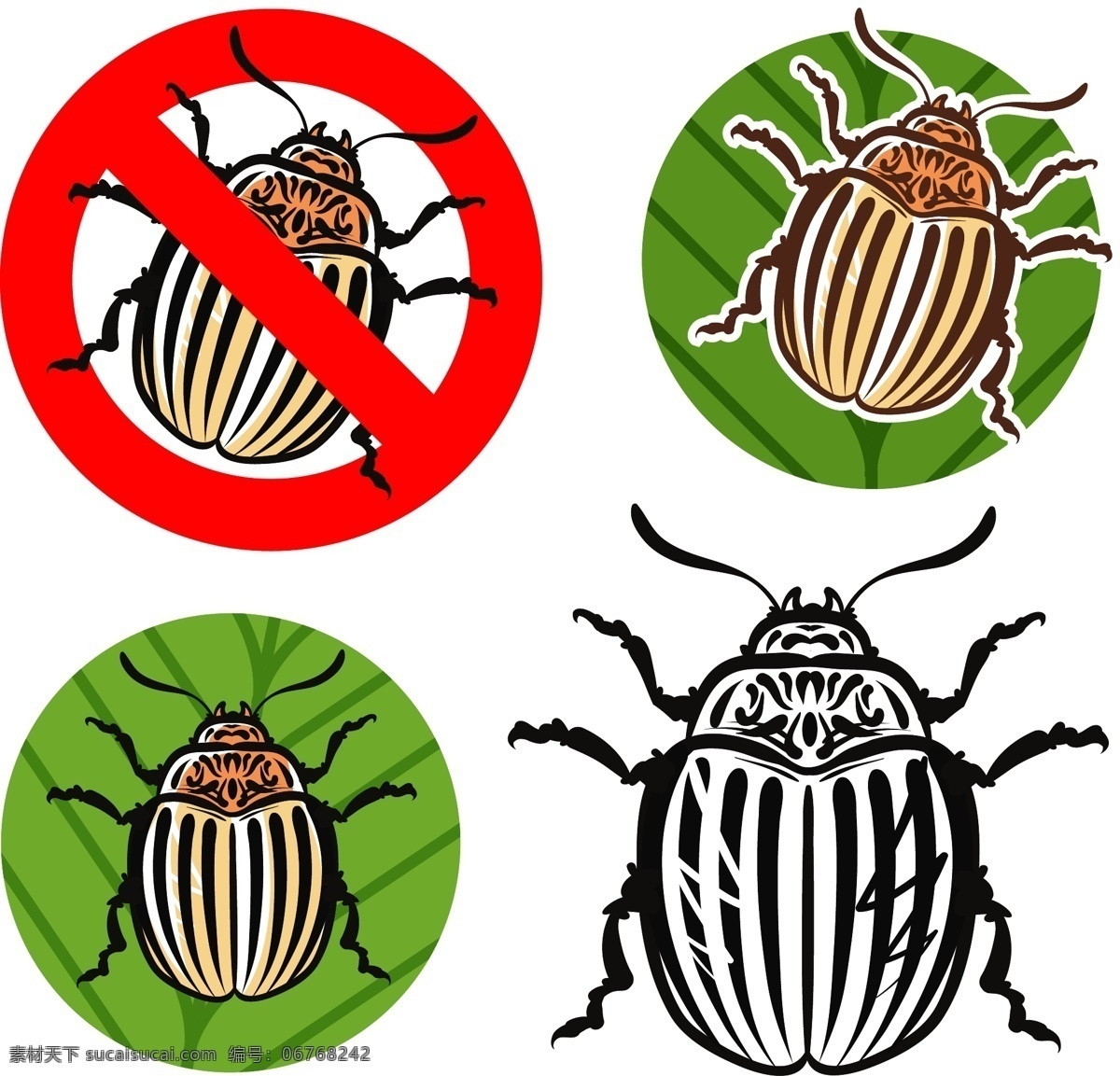 灭虫 蚊虫 有害昆虫 臭虫 蚊子 蟑螂 蛾子 老鼠 四害 蚂蚁 跳蚤 杀虫器 野生动物 生物世界 昆虫