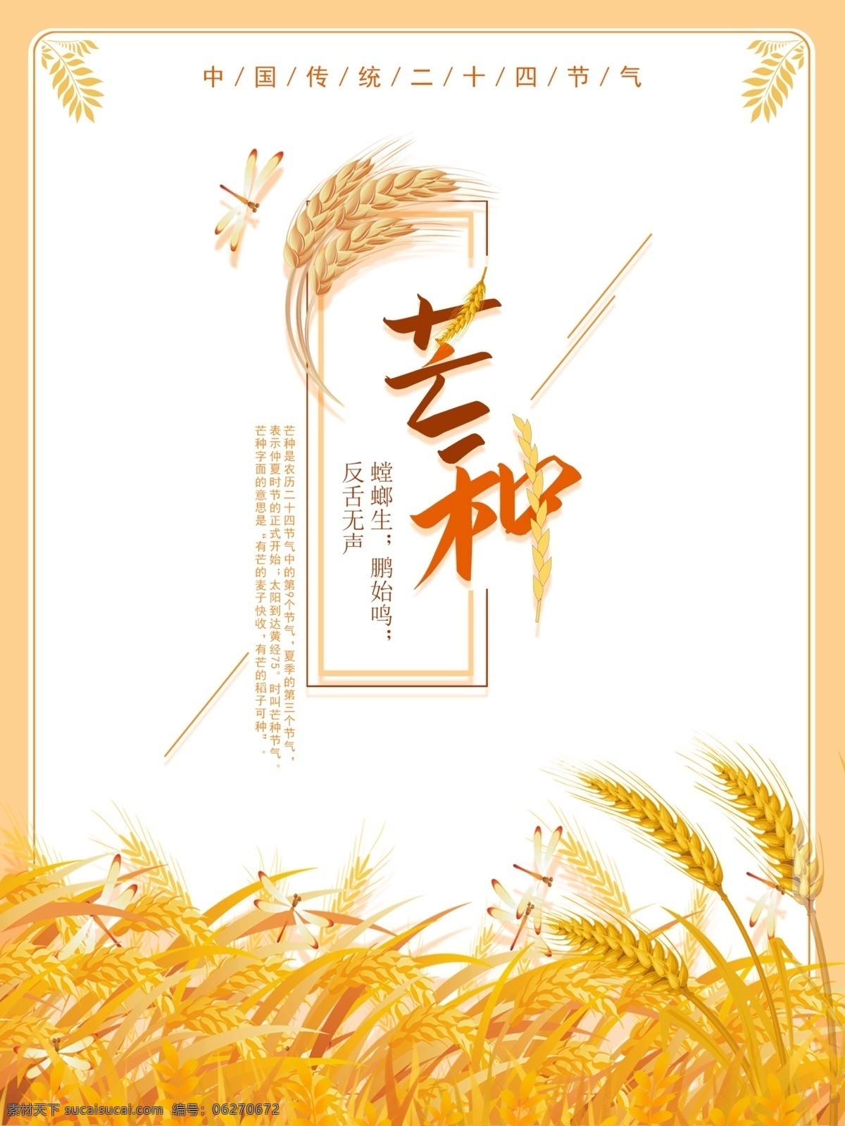 二十四节气 芒种 传统节日 宣 节日海报 芒种海报 小麦 宣传海报